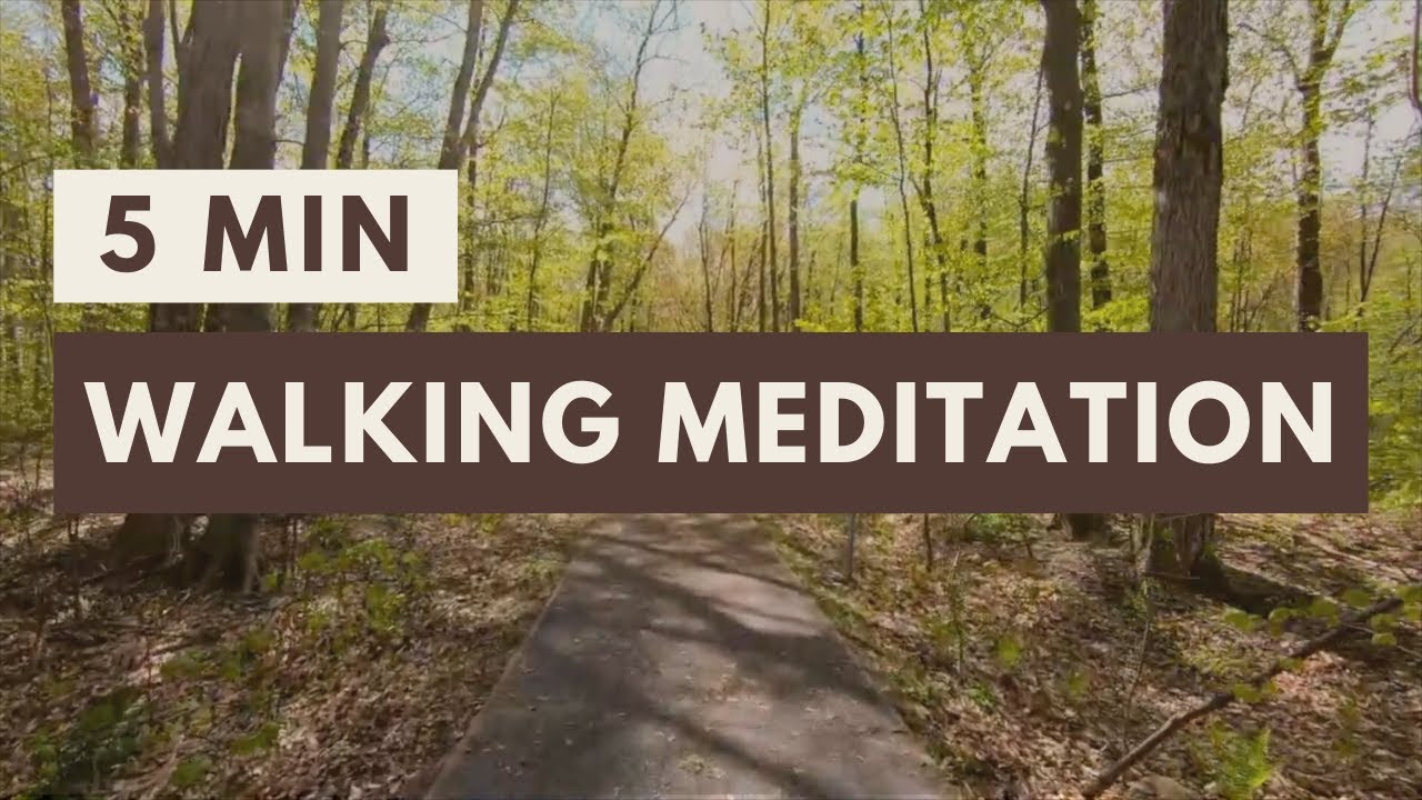Walking Meditation | Mindful Forest Walk with Guided Meditation | 6 ...