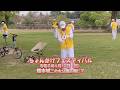 #ちょんかけフェスティバル2026　熊本城二の丸公園　20260412　♯肥後ちょんかけごま　♯熊本