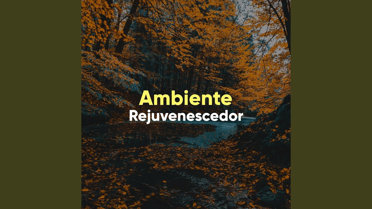 Benevol ncia YouTube benevol-ncia-youtube