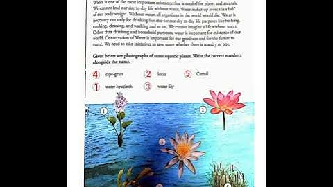 Class 4 GK Chapter 18 and 19