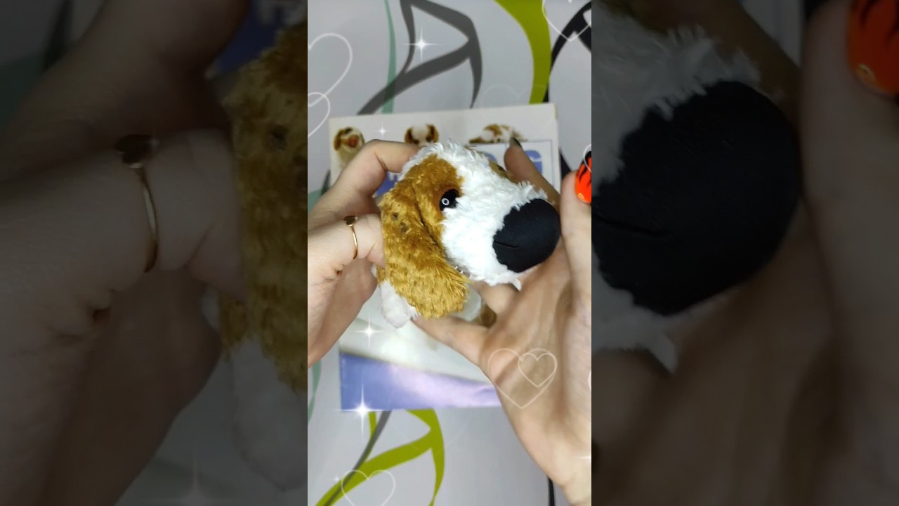 The Dog Collection 1 выпускКавалер Кинг Чарльз спаниель 