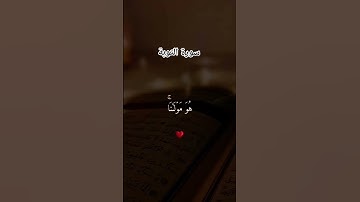 #سورة_التوبة #ياسر_الدوسري #لايك #اكسبلور #قرآن #راحة_نفسية