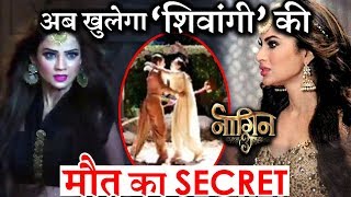 Naagin 3 new Promo : Shivangi’s Murder Mystery to unfold Naagin 3 new Promo : Shivangi’s Murder Mystery to unfold