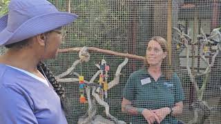 THUNDER ISLAND VBS 2024-Percy the Parrot NATUREBREAK:God's Object Lessons in Nature