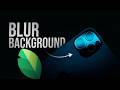 How to Blur Background on Snapseed (tutorial)