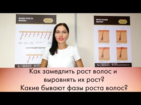 Фазы роста волос  phases of hair growth