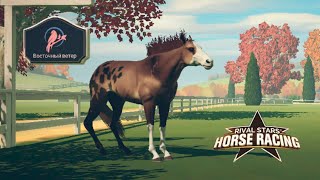 Играю в мобильную версию, разведение, скачки 🌺 Rival Stars Horse Racing