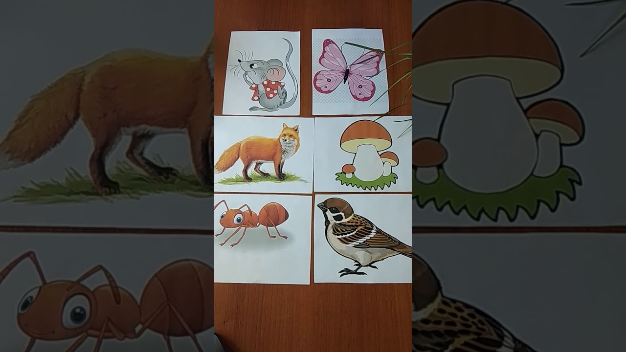 сутеев под грибом театр. гриб сутеев. сказка грибок теремок сутеева. сказка сутеева под грибом. сутеев в.