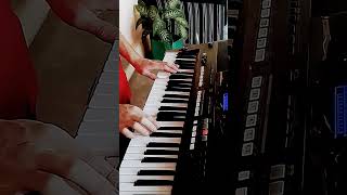 Download Lagu Mulher carinhosa - Amado Batista (solo) MP3