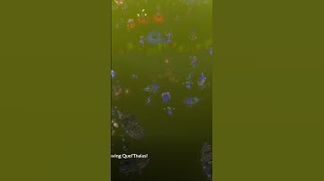 Sylvanas farewell to Silvermoon and the Blood Elves -  Warcraft 3 REFORGED - Rise of the Blood Elves