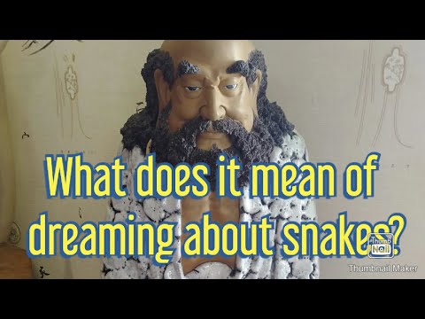 What does it mean to see snakes in the dream? 