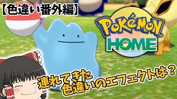 色違いエフェクトの比率を調べる