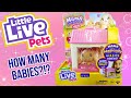 Hippity hoppity  little live pets  mama surprise minis  bunny edition  adult collector review