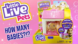 Hippity Hoppity Little Live Pets - Mama Surprise Minis - Bunny Edition Adult Collector Review