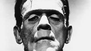 Quotes from Mary Shelley s Frankenstein