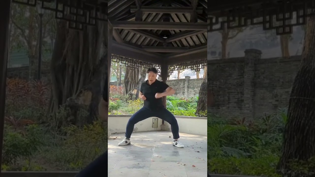 Unleash your inner warrior with Hung Gar! 🐯🦢🐆🐍🐲