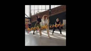 🌼✨ Kenan Doğulu #feat Erdem Kınay /Hezarfen #dance #hiphop #arrangement