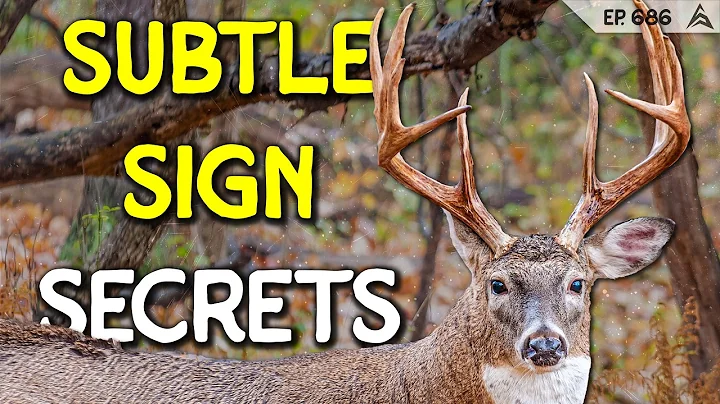 Subtle Deer Sign Secrets That Will Help You Find BIG BUCKS