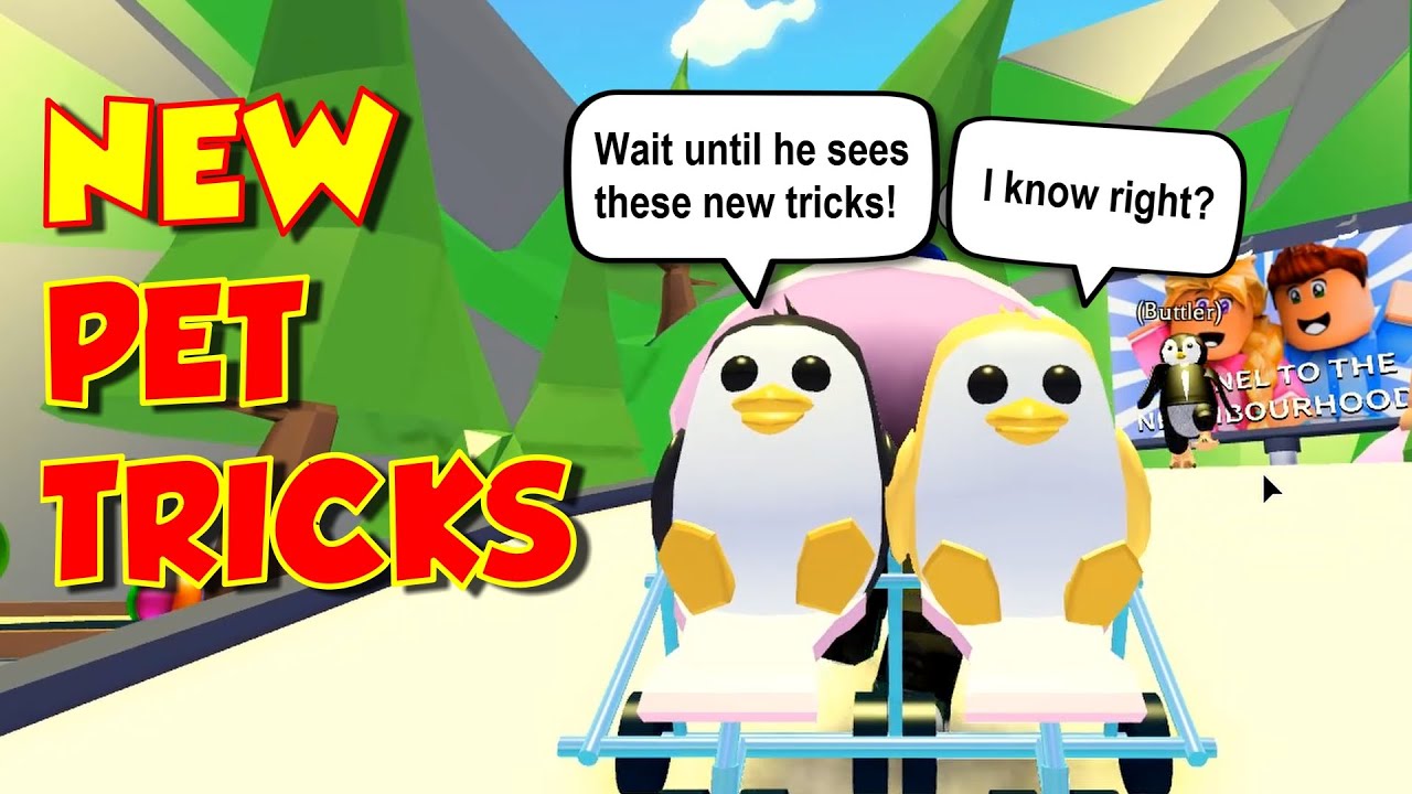 Every New Pet Penguin Trick Roblox Adopt Me Pets Youtube - adopt me i got a penguin roblox youtube