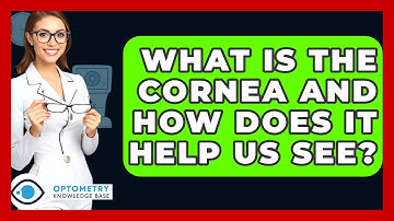 What Is The Cornea And How Does It Help Us See? - Optometry Knowledge Base
