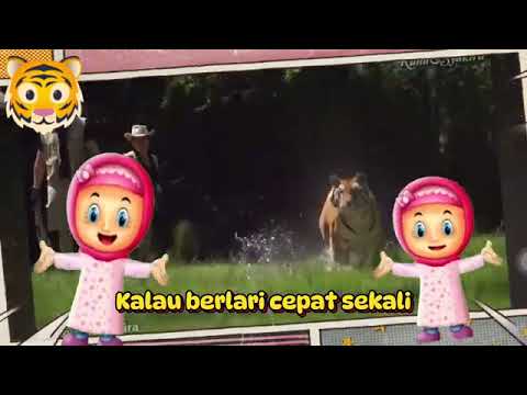 Lagu Anak Populer GAJAH & MACAN ( Runa & Syakira Official ) #gajah #macan #runasyakira