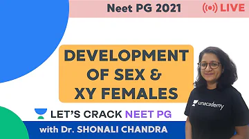 Do XY females have testes?