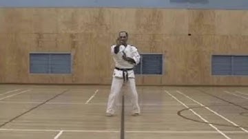 Zen Do Kai Kata - Rotating palms