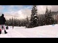 Nordic Skiing Technique - Traditional Style - Diagonal Stride