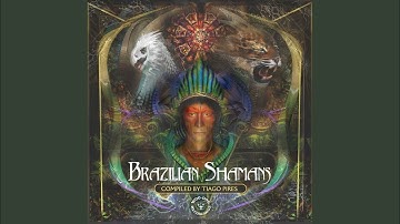 Capiroto System (Original Mix)