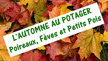 Quand semer petit pois automne ?