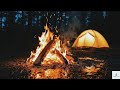 Rainy Night Campfire ASMR 🔥 Cozy Tent Ambience for Deep Sleep