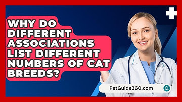 Why Do Different Associations List Different Numbers of Cat Breeds? - PetGuide360.com
