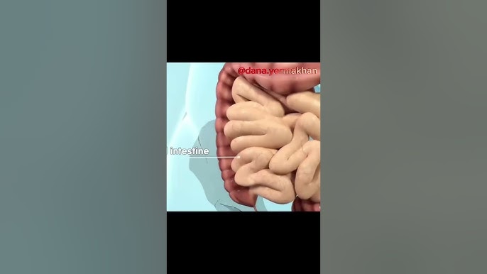 Төмен жатқан плацента: ауызша жыныстық қатынасқа рұқсат етіледі Түрмедегілер порно