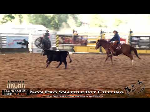 Non Pro Snaffle Bit Cutting HACKAMORE 2022 CLASSIC Scone NSW June 2022  17