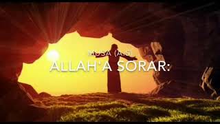 Hz Musa Allaha Sordu Ki Allah Ona Ne Dedi