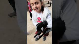 Zeynep Bastik Ara Ara Ara Dolu Kalbi̇m Yara