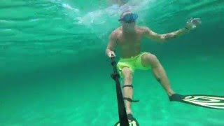 Swimming with The Dolphins in the Gulf of Mexico, Destin, Florida.
