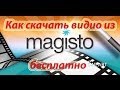 Как скачать видео из Magisto бесплатно