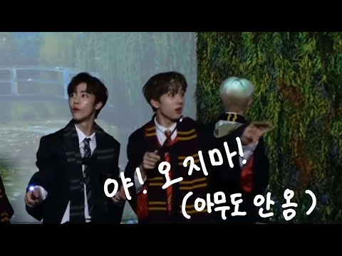 [ NCT DREAM] 쫄은 지성이 귀엽다🐹