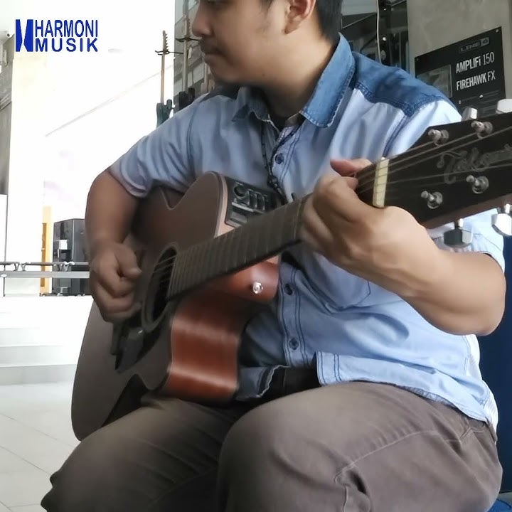 Good Affordable Acoustic Guitar | Takamine GN11MCE