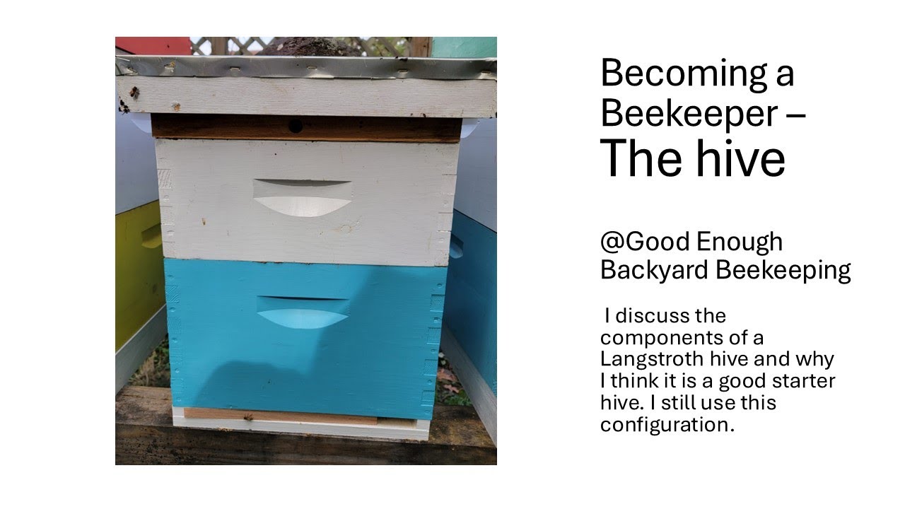 Becoming a beekeeper - The Hive - YouTube