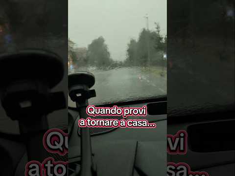 Video Temporale in Emilia-Romagna: albero caduto sulla strada