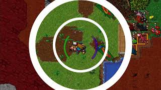 Tibia Antica PK 2