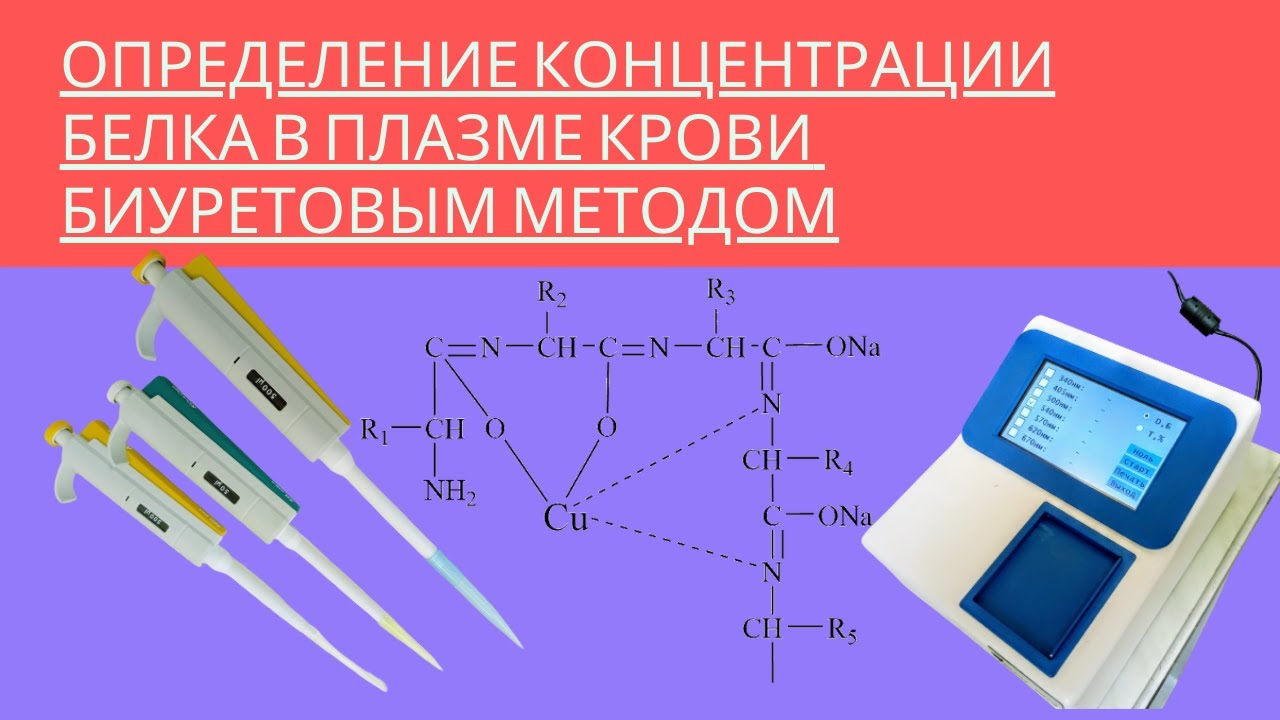 Биуретовая реакция белков опыт. Количественное определение концентрации белка биуретовым методом. Определение белков биуретовым методом. Метод количественного определения белка по лоури. Определение белков биуретовым методом.