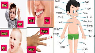 Parts of Body | Body Parts Name | Name of Body Parts in English with Pictures | bodyparts Educare