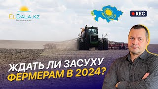 Казахстан получит хороший урожай в 2024? Запасы влаги и прогнозы синоптиков