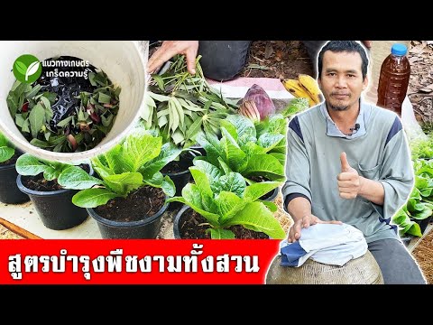 ปุ๋ยน้ำหมักแบบเต็มสูตร บำรุงพืชงาม ทำง่ายๆจากวัสดุใกล้ตัว