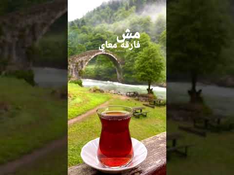 فيروز مش فارقة معاي     2025