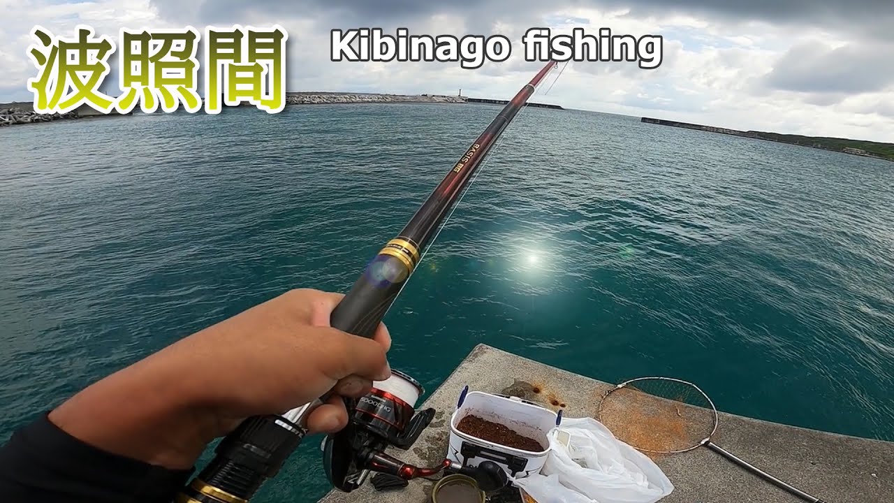 波照間で魚を釣って捌く【沖縄釣り】【スルルー】