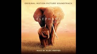 Motherly Love | The Elephant Queen OST